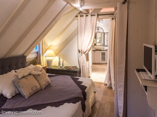 Appartamento per vacanze Riquewihr Caratteristiche 12