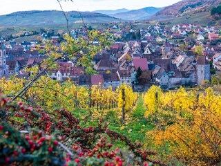 Appartamento per vacanze Riquewihr Ambiente 14