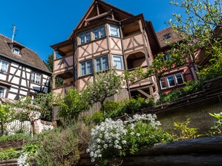 Appartamento per vacanze Riquewihr Registrazione all'aperto 3