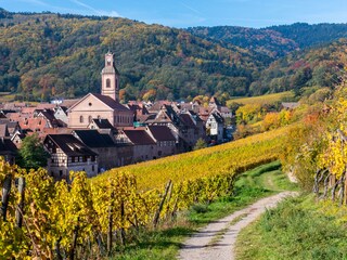 Appartamento per vacanze Riquewihr Ambiente 18