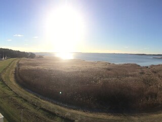 Deich und Breeger Bodden