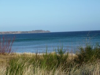 Küstenlandschaft der Ostsee ca. 500m entfernt