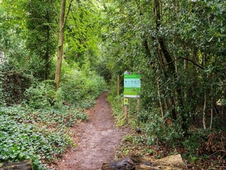Casa per le vacanze Bergen (Holland) Ambiente 33