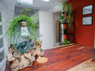 Casa per le vacanze Bergen (Holland)  40