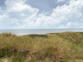 Maison de vacances Bergen (Holland) Environnement 32