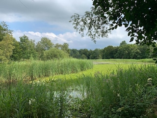 Ferienhaus Simonshaven Umgebung 36