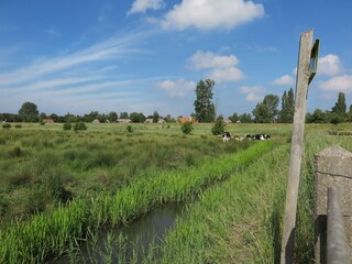 Maison de vacances Simonshaven Environnement 34