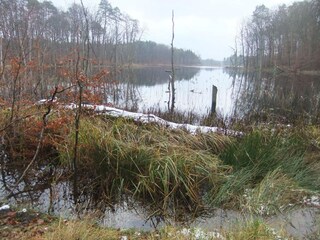 Schweingartensee
