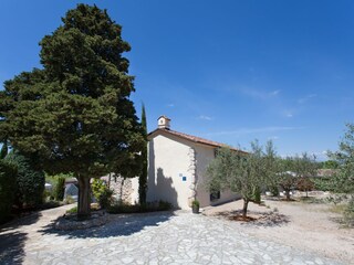 Lots of olive trees around the house