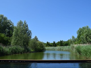 Appartamento Oostkapelle Registrazione all'aperto 5