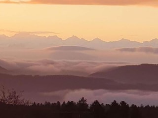 Apartment Görwihl Umgebung 37