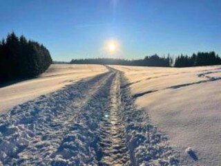 Apartment Görwihl Environment 31