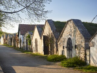 Appartamento per vacanze Purbach Ambiente 12