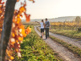 Appartamento per vacanze Purbach Ambiente 14