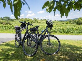 Appartamento per vacanze Purbach Ambiente 15