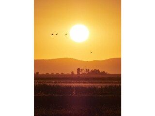 Appartamento per vacanze Purbach Ambiente 16