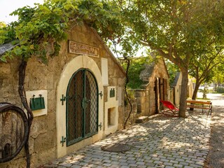 Appartamento per vacanze Purbach Ambiente 17