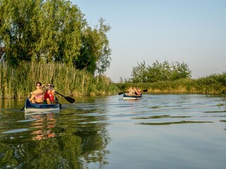 Kanal im Schilf