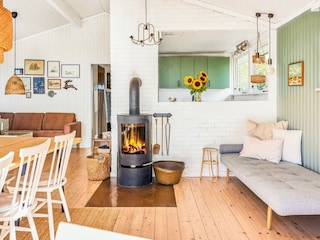 Ferienhaus Fåborg  16