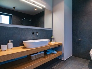 Villa Vodnjan Features 10