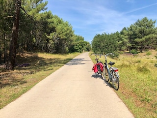 Fahrradweg dürch die Dünen
