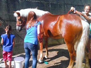 Appartamento per vacanze Umhausen Ambiente 30