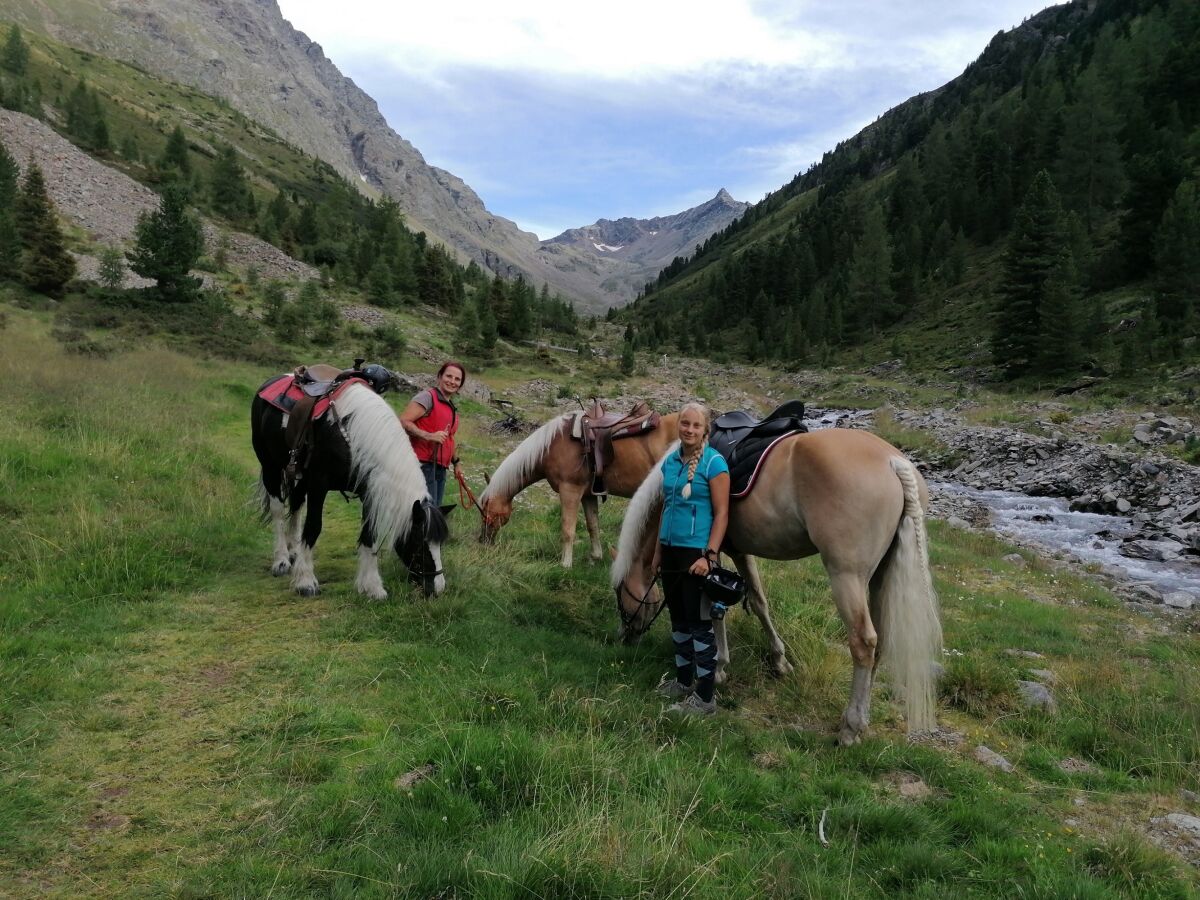 Ausritt mit unseren Haflingern