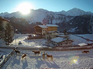 Bio & Reiterhof der Veitenhof im Ötztal
