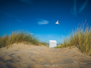 Holiday apartment St. Peter-Ording Outdoor Recording 16