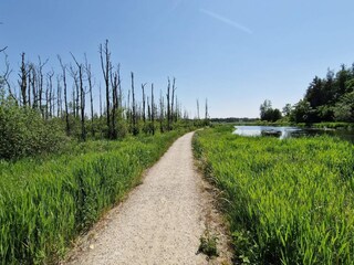 Vakantiehuis Truust  23