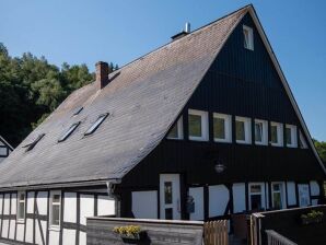 Luxe, groot appartement in een historisch gebouw nabij Winterberg - Winterberg - image1