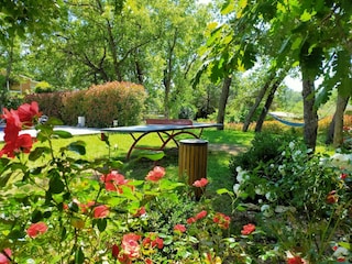 Villa Callian Außenaufnahme 9