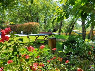 Villa Callian Outdoor Recording 11