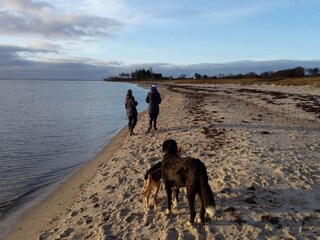 Holiday house Sydals  36