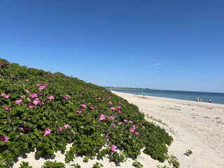 Vakantiehuis Sydals  7