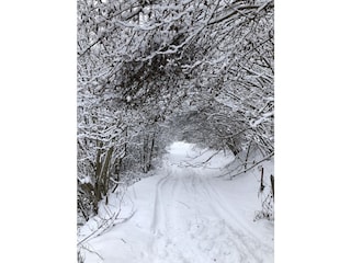 Chalet Murau (Stadt) Ambiente 25