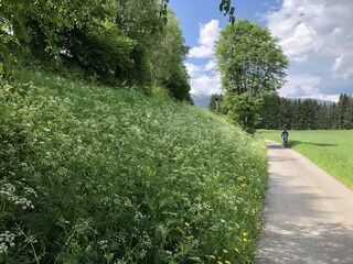 Chalet Murau (Stadt) Ambiente 32