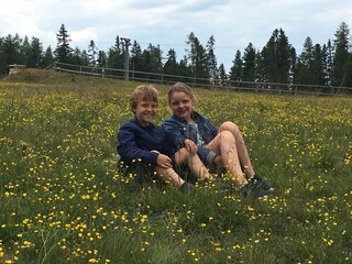 Chalet Murau (Stadt) Ambiente 36