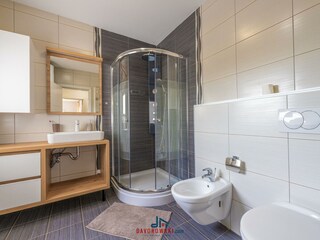 Villa Vodnjan Caratteristiche 23