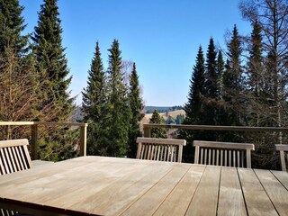 Vakantiehuis Altenau im Oberharz Buitenaudio-opname 20