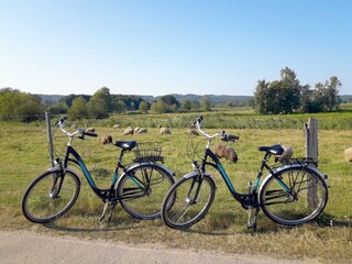 private Fahrräder zur Nutzung