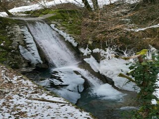 Type de propriété : Chalet Arèches-Beaufort Environnement 29