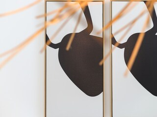 Ferienhaus Kamperland  38