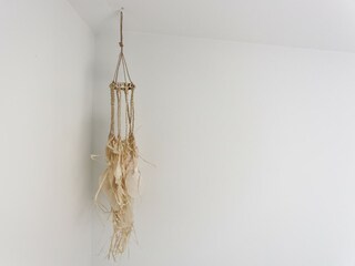 Ferienhaus Kamperland  39