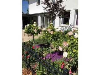 Blu?tenprach Vorgarten