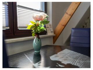 Ferienwohnung Rechlin Außenaufnahme 44