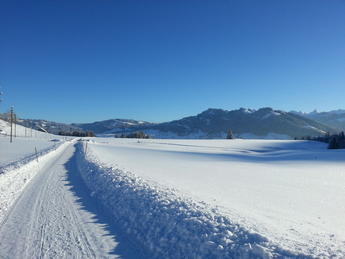 Winterwandern, Langlaufen, Skifahren, ...