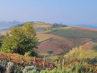Ferienwohnung Nizza Monferrato Umgebung 10