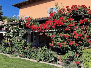 Ferienwohnung Nizza Monferrato Umgebung 3
