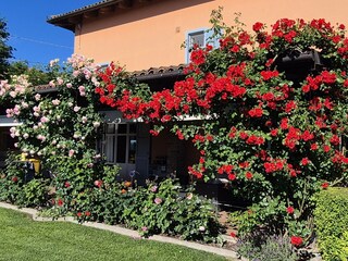 Holiday apartment Nizza Monferrato Environment 3